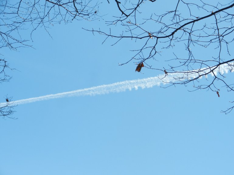 Jet stream across beautiful, blue sky