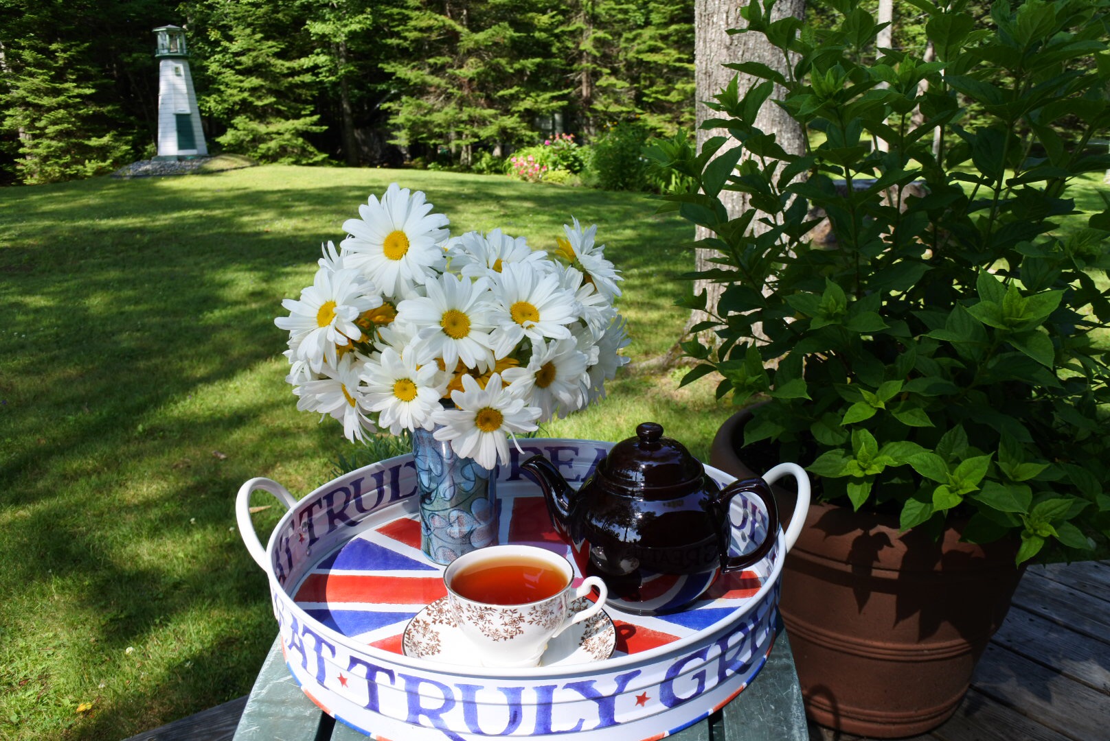A wee lighthouse, daisies, and a distant garden