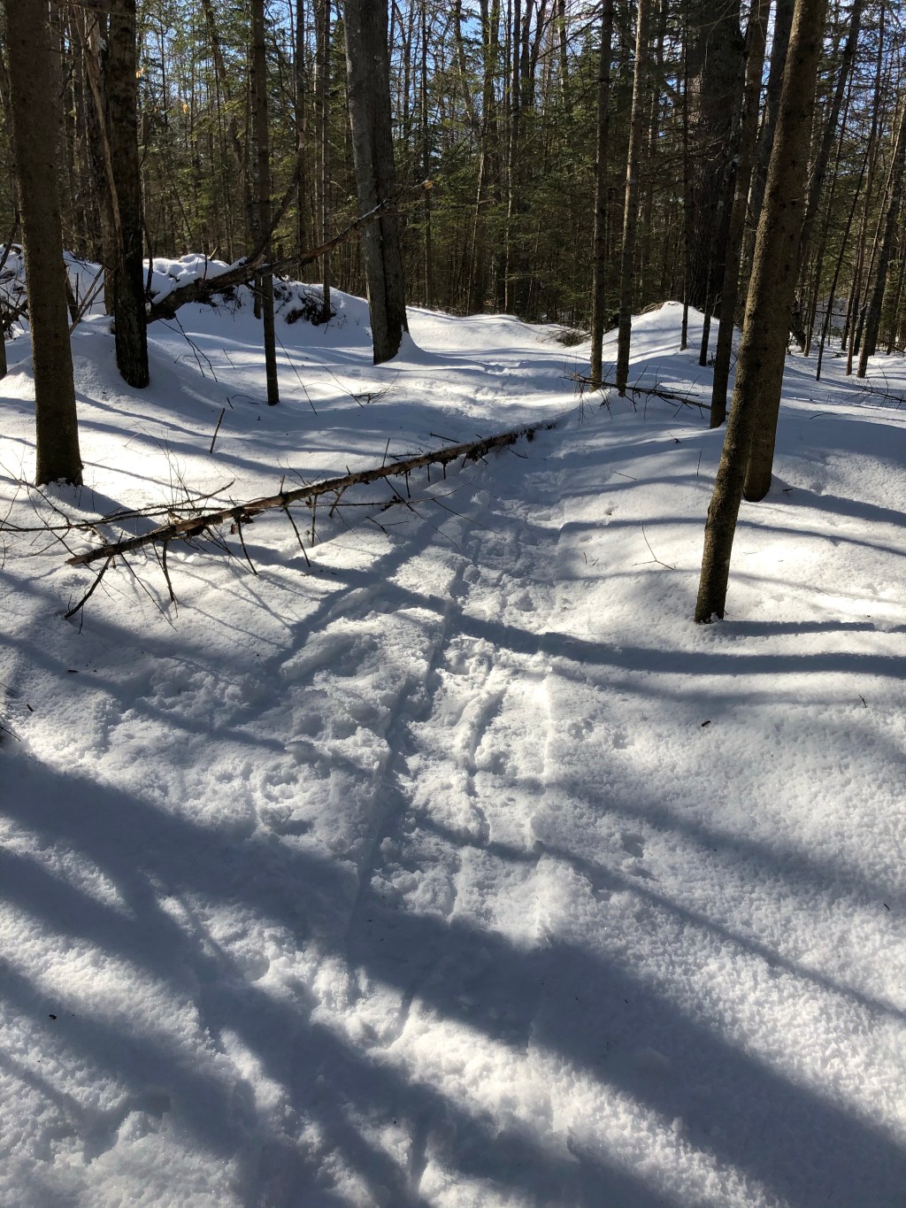 Baby, It’s Cold&nbsp;Outside