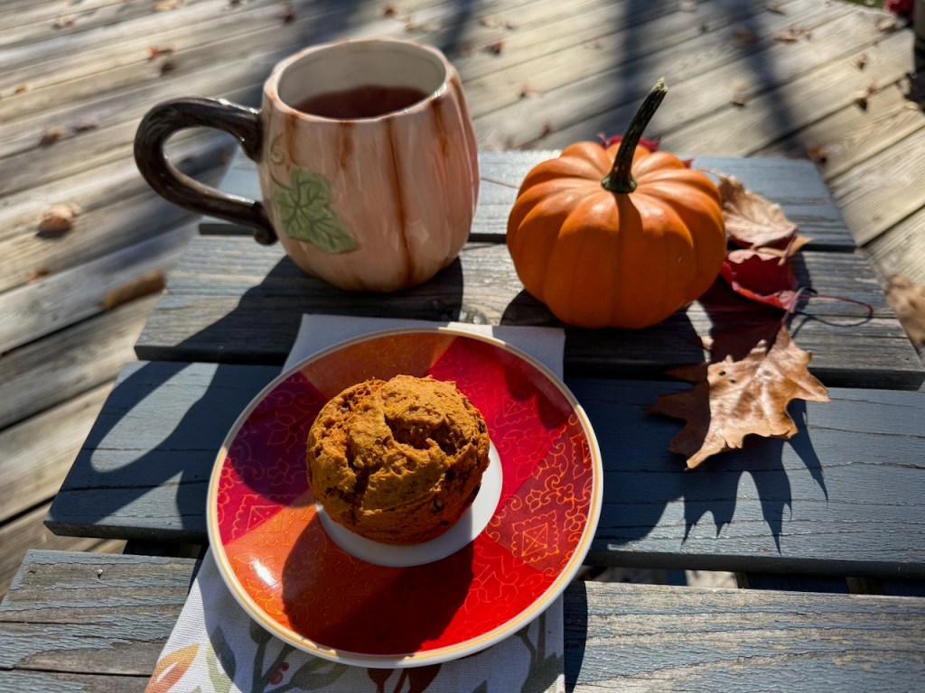 Pumpkin Spice & Comfort